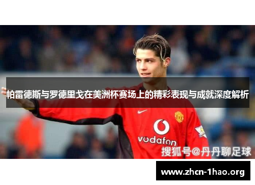 帕雷德斯与罗德里戈在美洲杯赛场上的精彩表现与成就深度解析