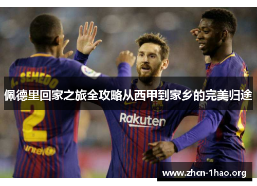佩德里回家之旅全攻略从西甲到家乡的完美归途 佩德里回家之旅全攻略从西甲到家乡的完美归途