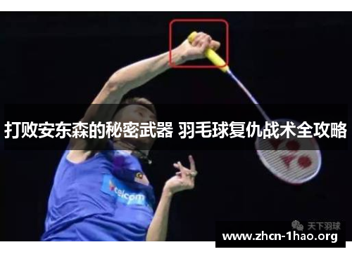 打败安东森的秘密武器 羽毛球复仇战术全攻略 打败安东森的秘密武器 羽毛球复仇战术全攻略