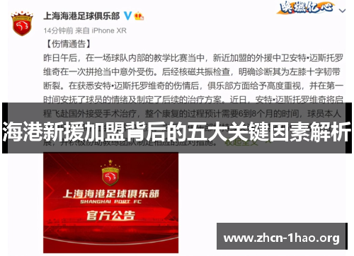 海港新援加盟背后的五大关键因素解析 海港新援加盟背后的五大关键因素解析